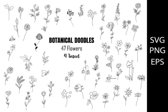 Download Botanica Doodles, Hand Drawn of Flowers - Premium Resources